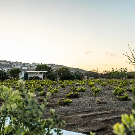 Sn Santorini Apartament *