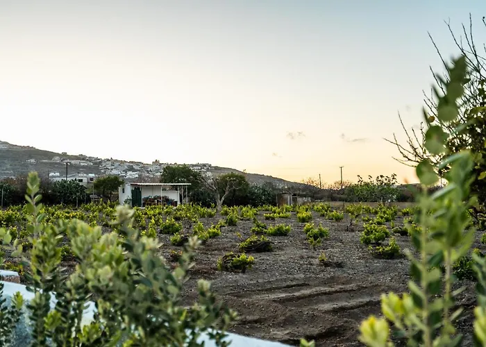 Sn Santorini 公寓 *